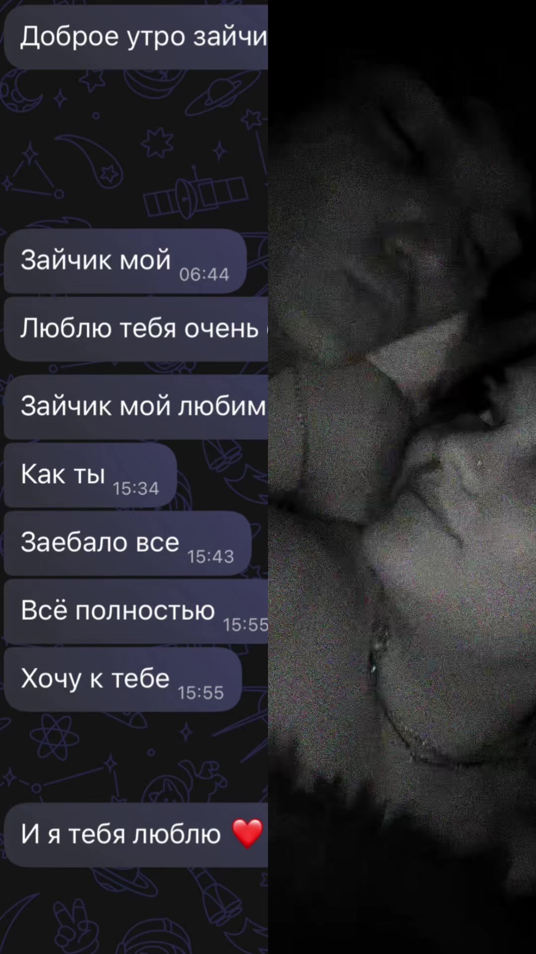 @❤️ Хамка❤️