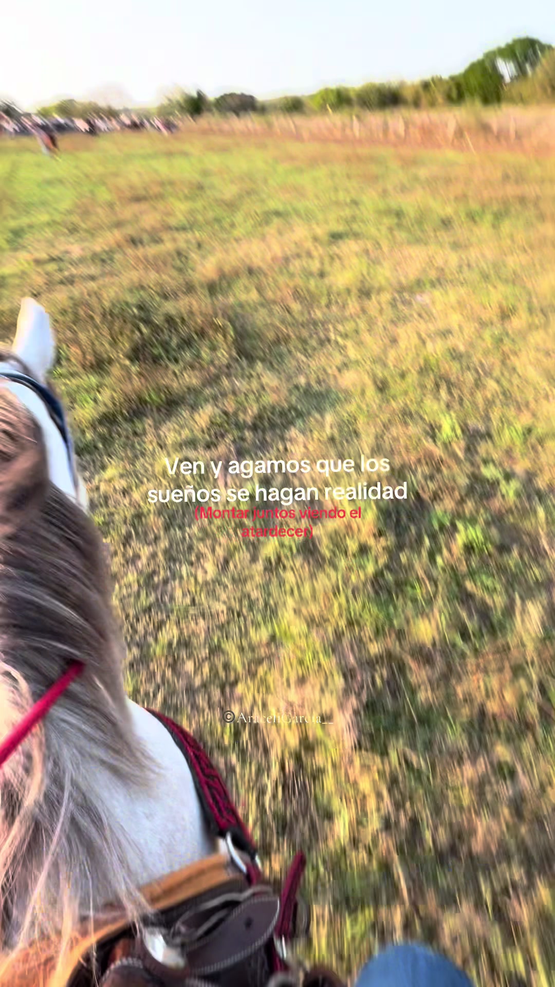 @Araceli Garc&iacute;a 🏇