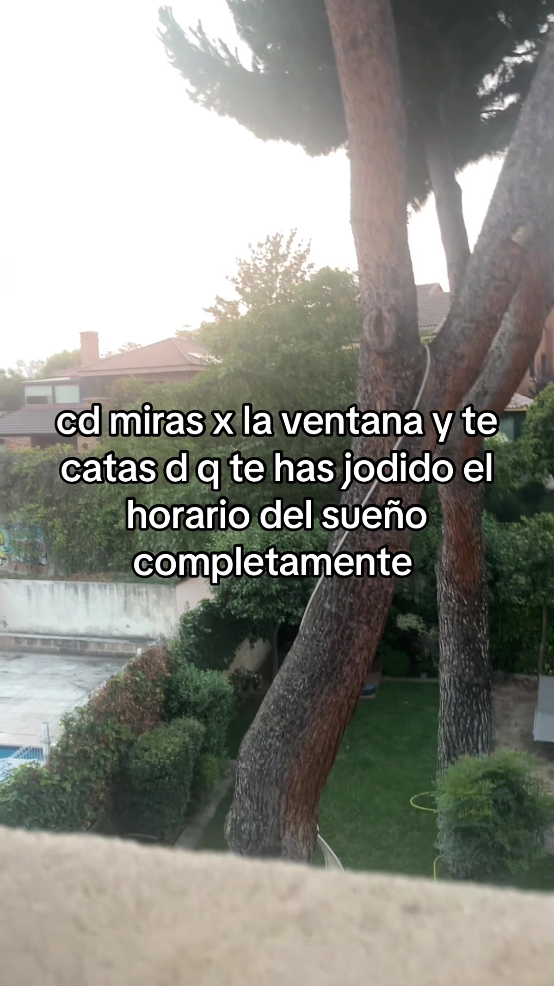 @mercadonersporel🌍