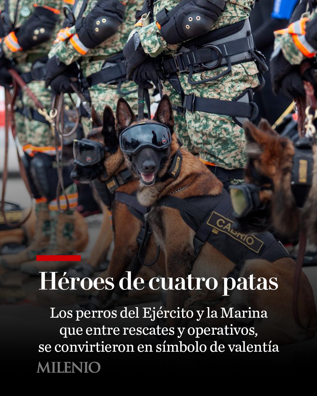 @MILENIO