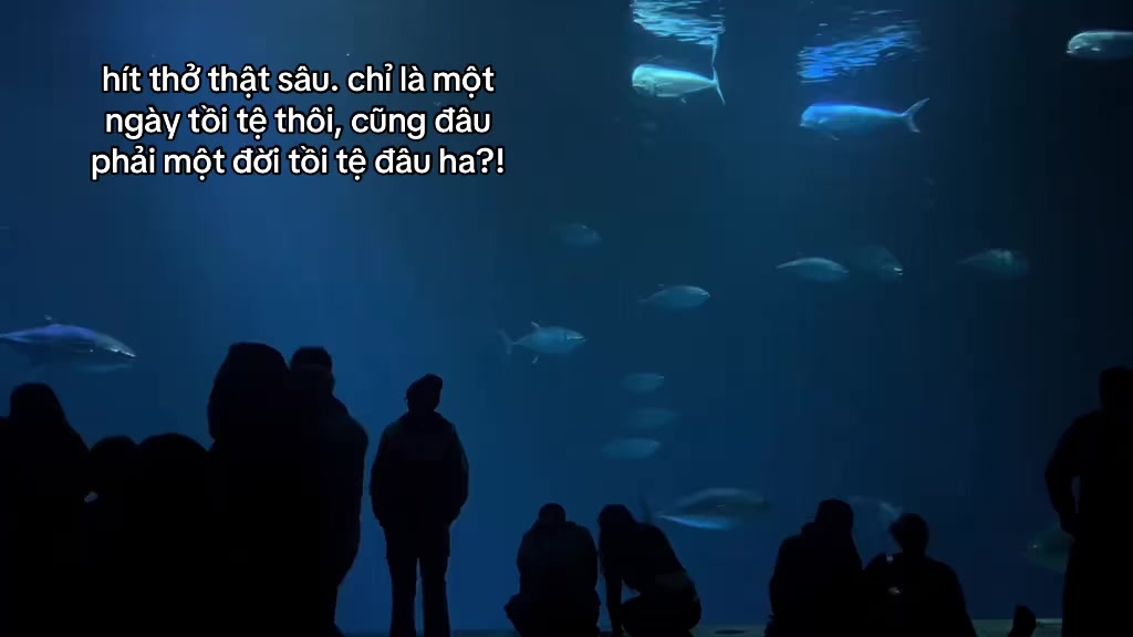@tạp nham
