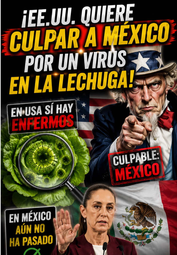 @Campechaneando Noticias