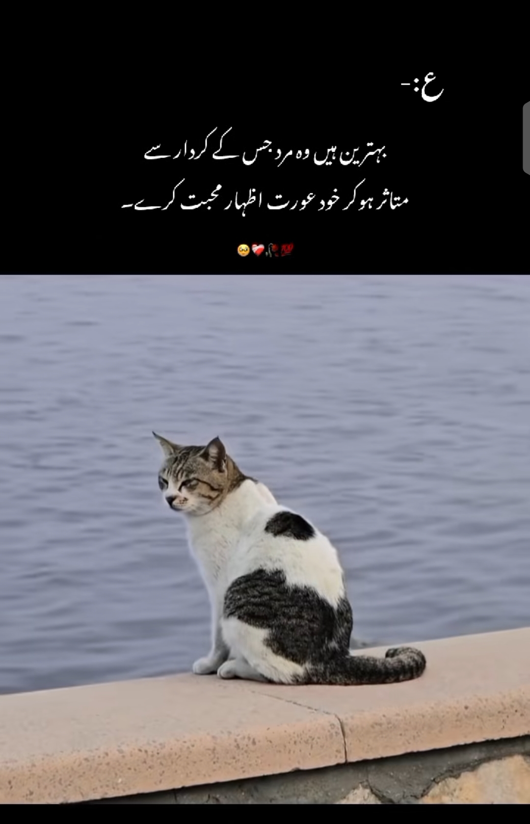 @مرشدヅ 🏴