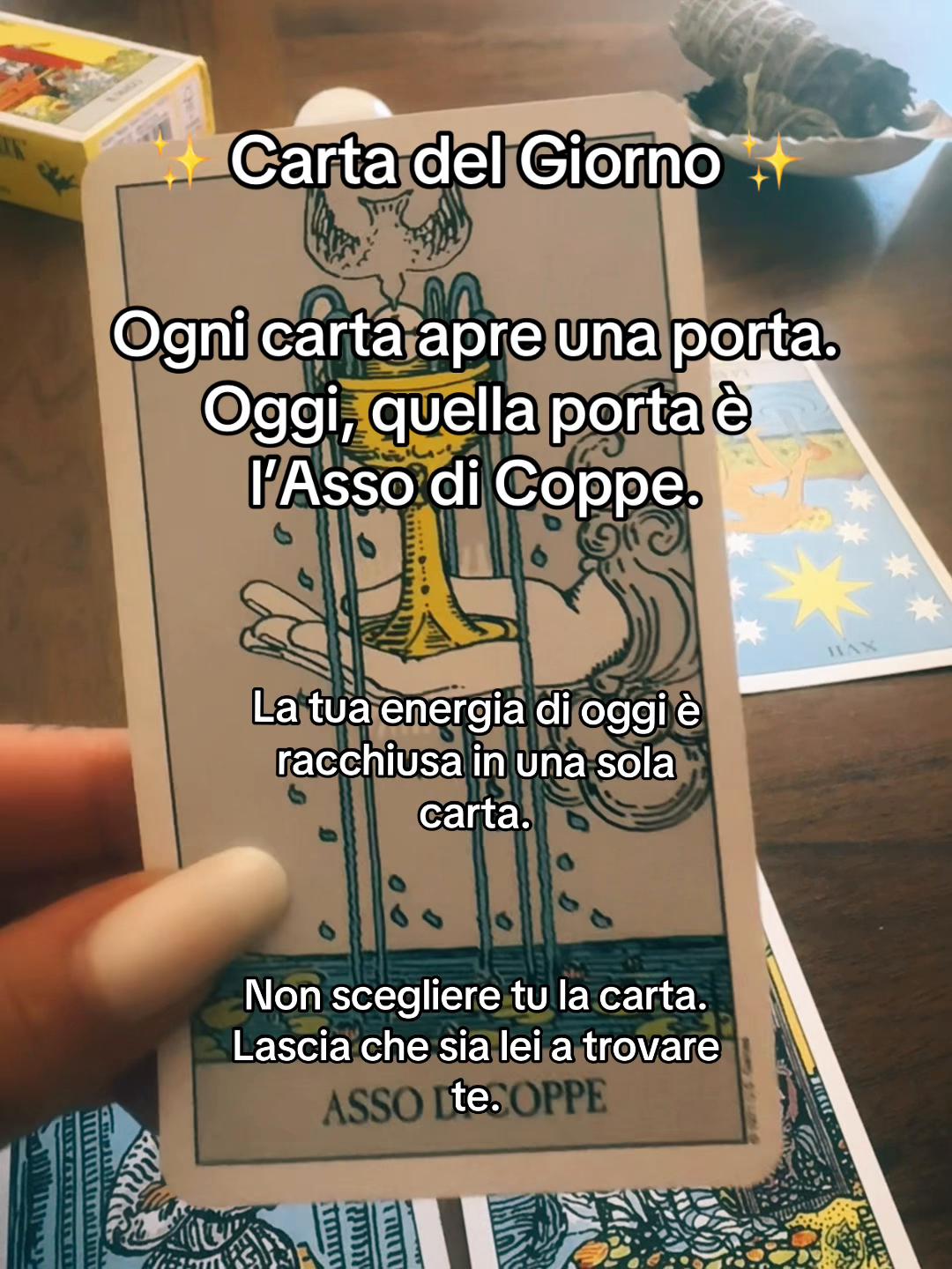 @🌙S&iota;&alpha;_ɱ&sigma;0ɳ🌙
