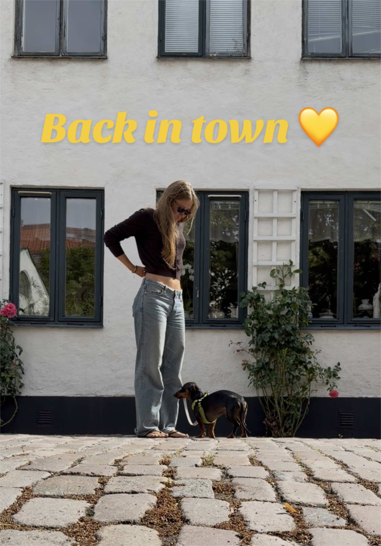 @Ted & Alicia 🐶👱🏼&zwj;♀️