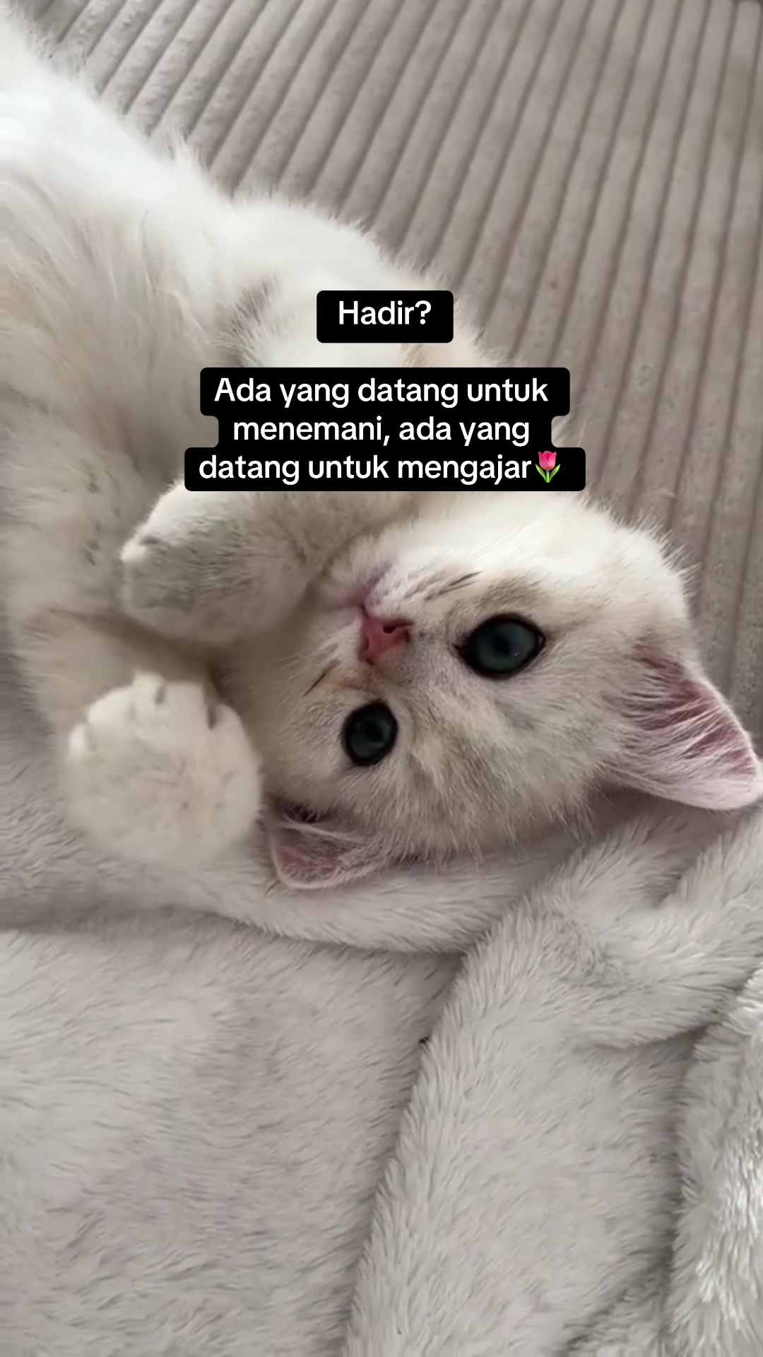 @Izzatyy_