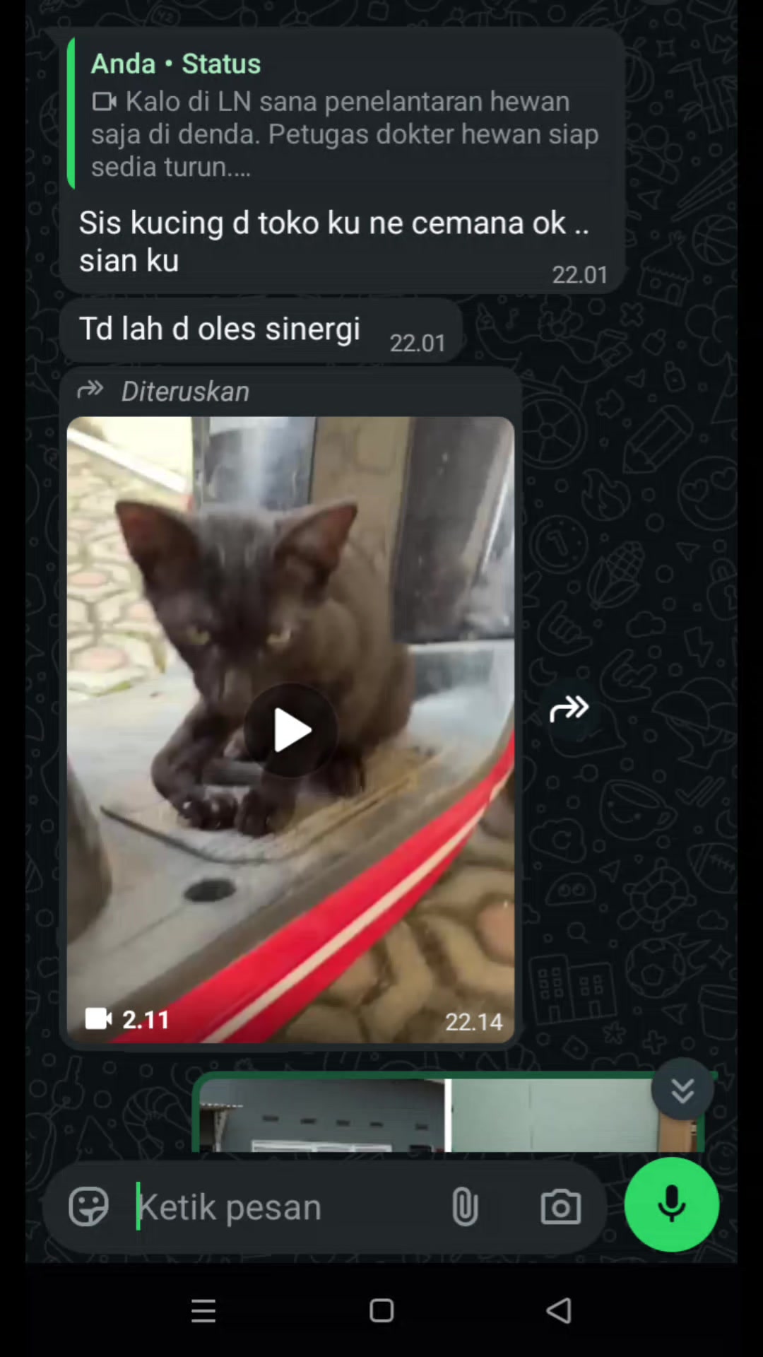 @🇮🇩Adek Gely😽❤️