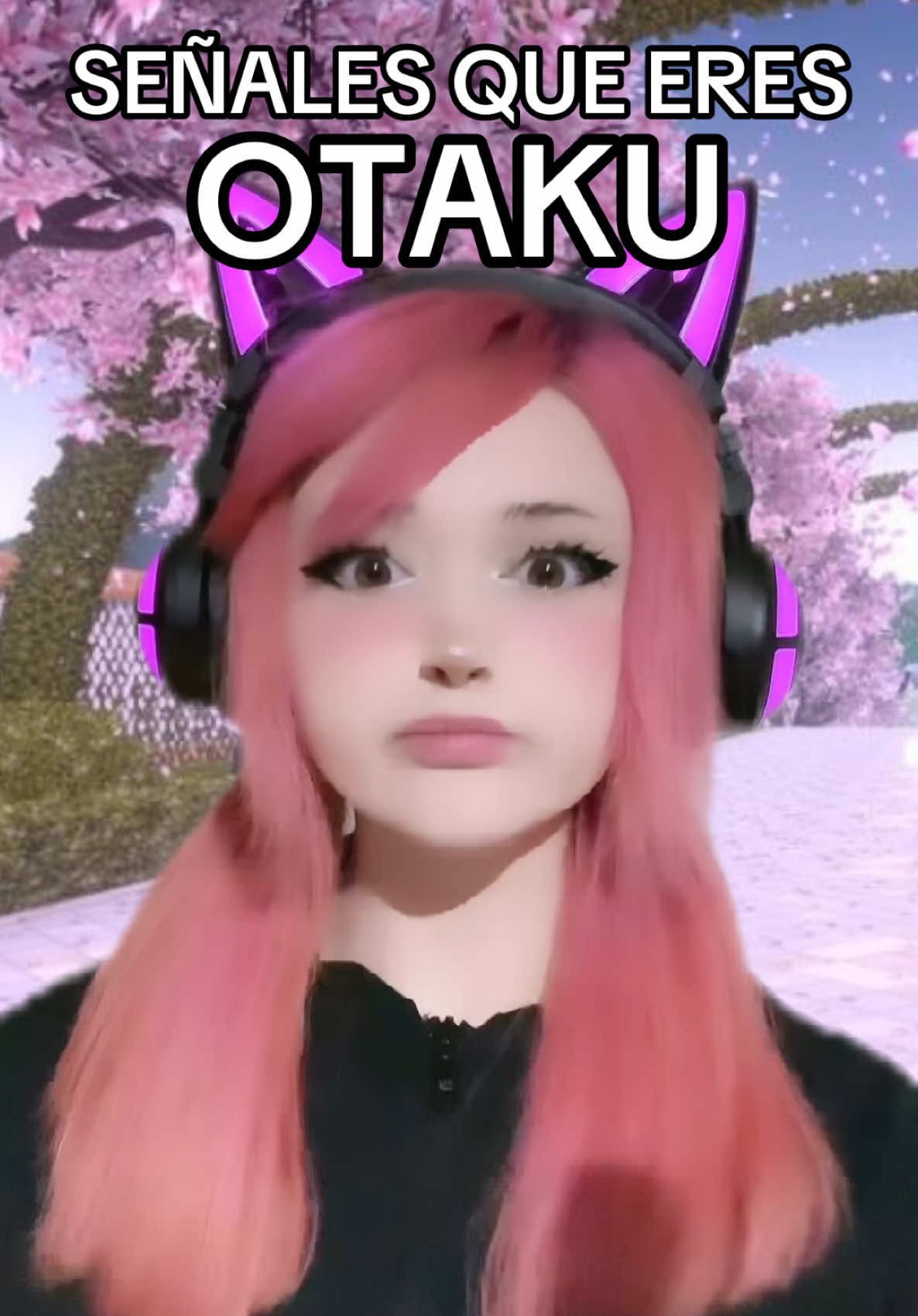 @sofii miau