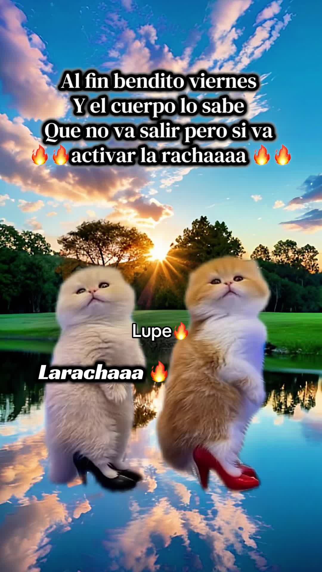 @Lupe🔥