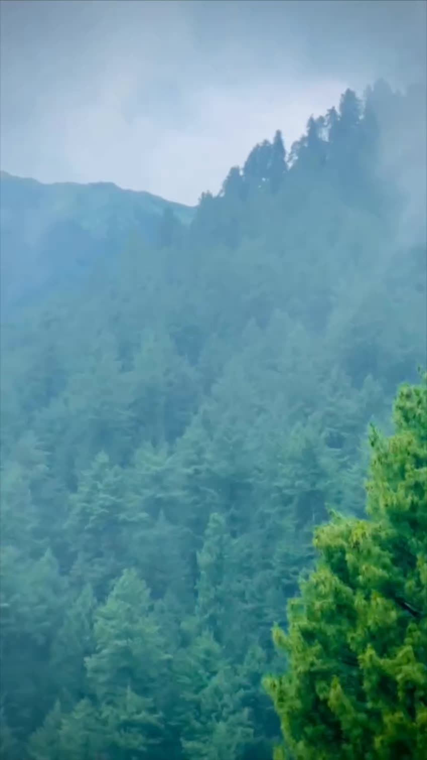@Aʟɪ Tᴀʙᴀɴ