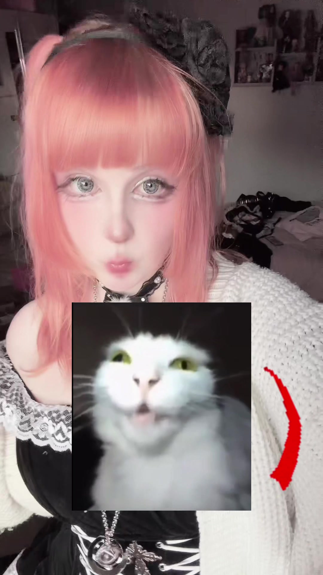 @。☆。𝒾𝓈𝓁𝒶  。☆。