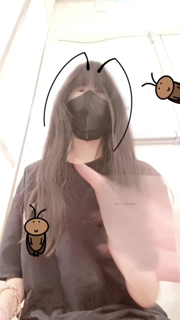 @无名布偶重度依赖🧸