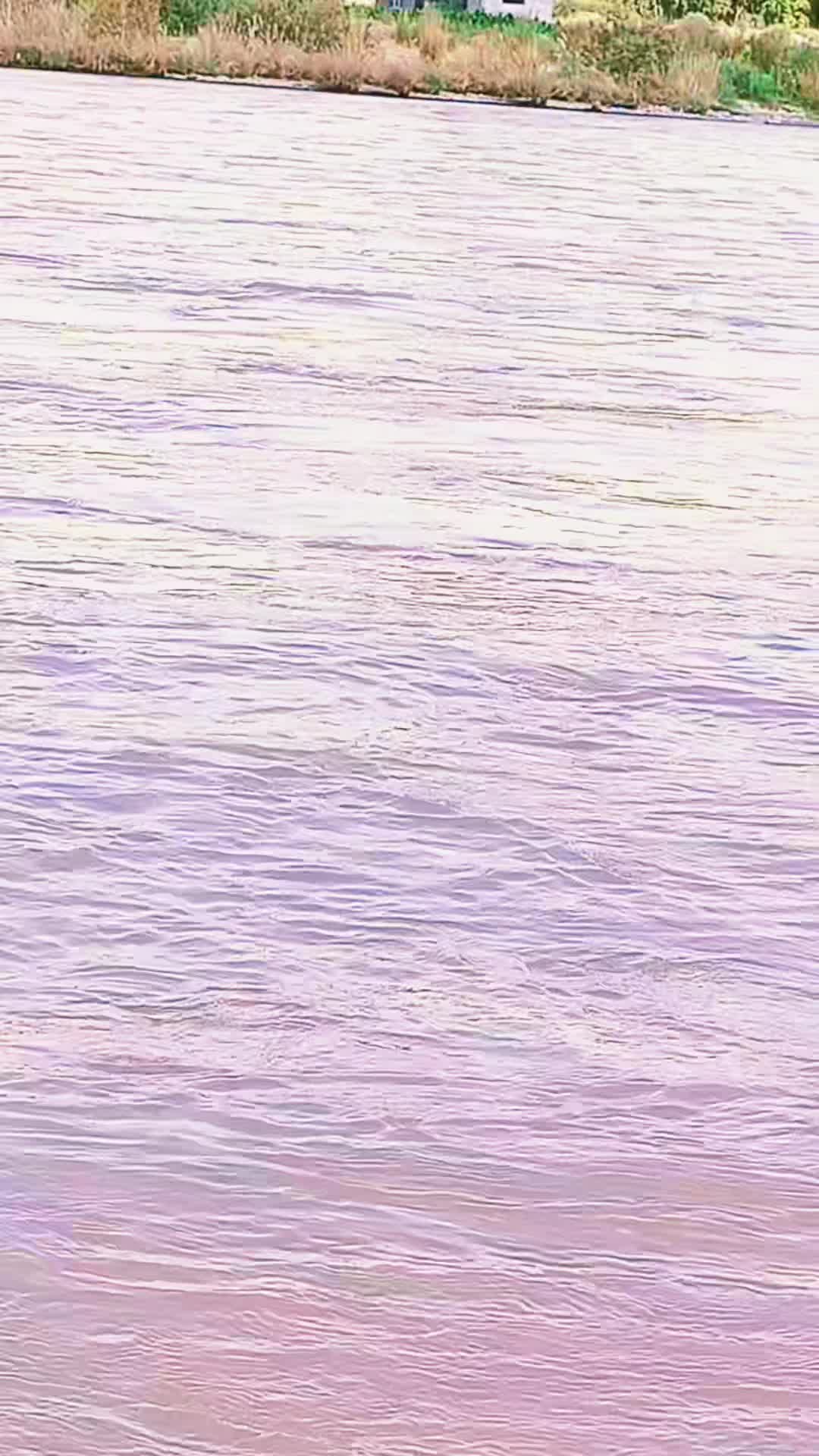 @RUZIMAHMAD ❤️