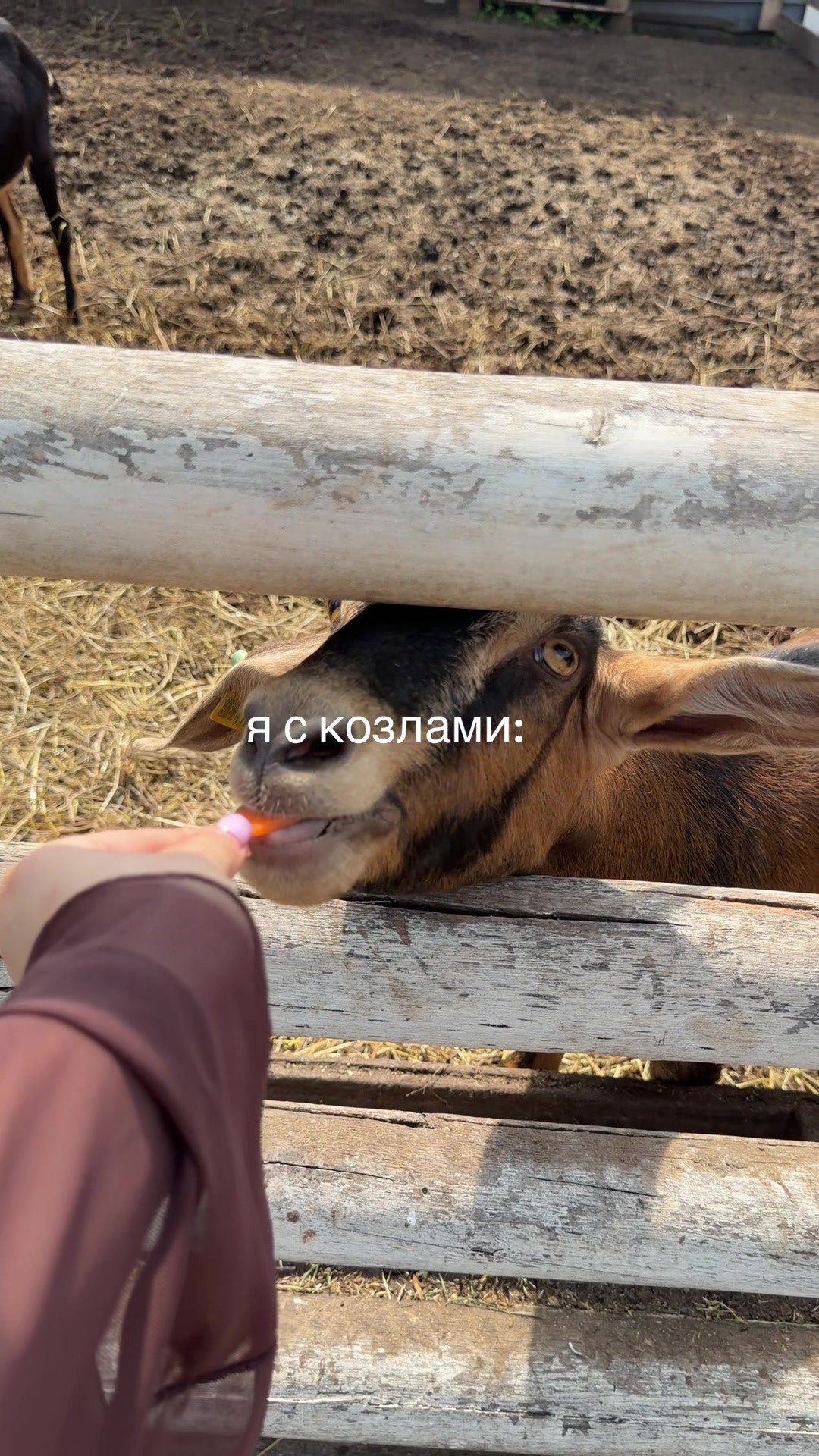 @ksenyyy🐰