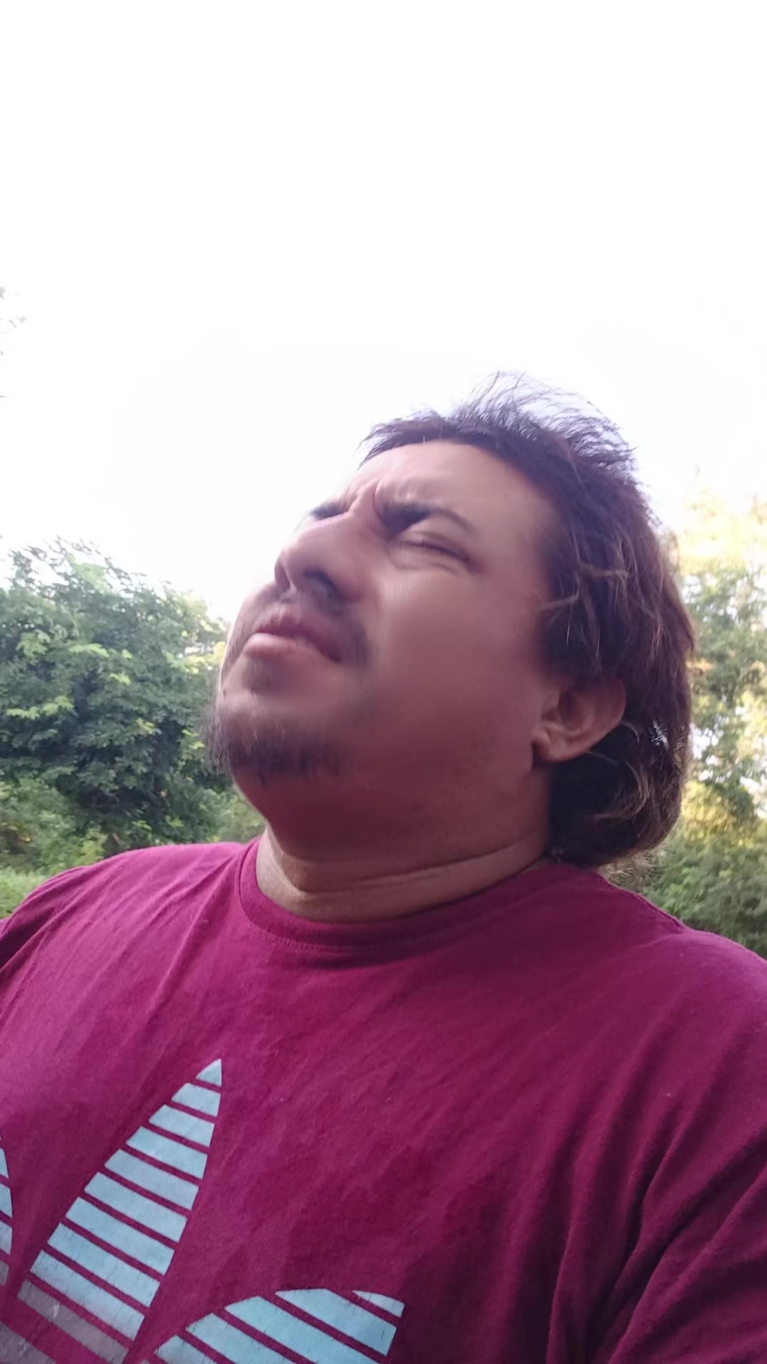 @Hugo Alonso