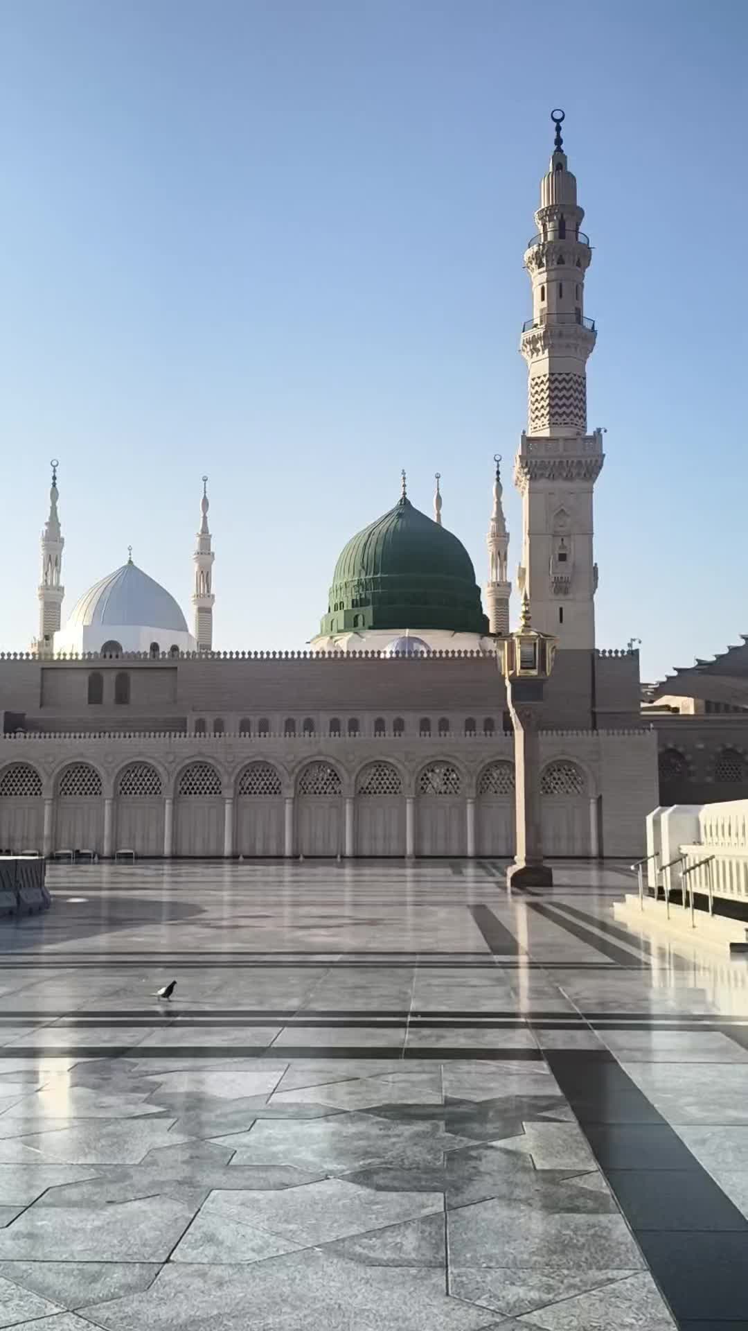 @SAMI MALIK