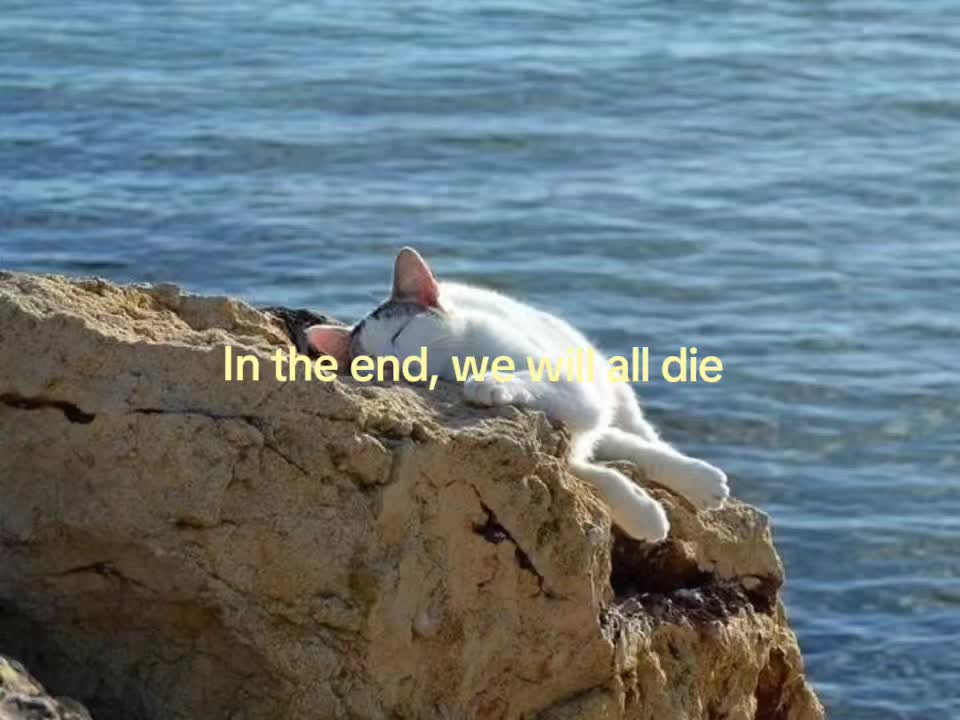 @معنى الحياة