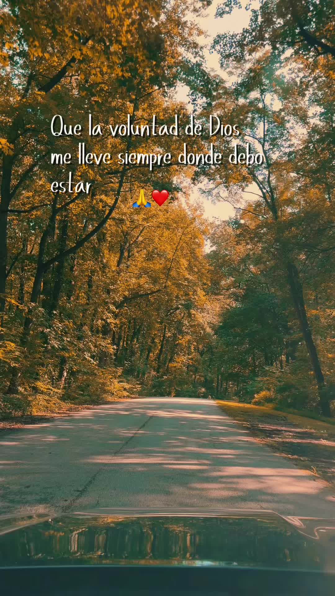 @ABBY ✨💫❤️