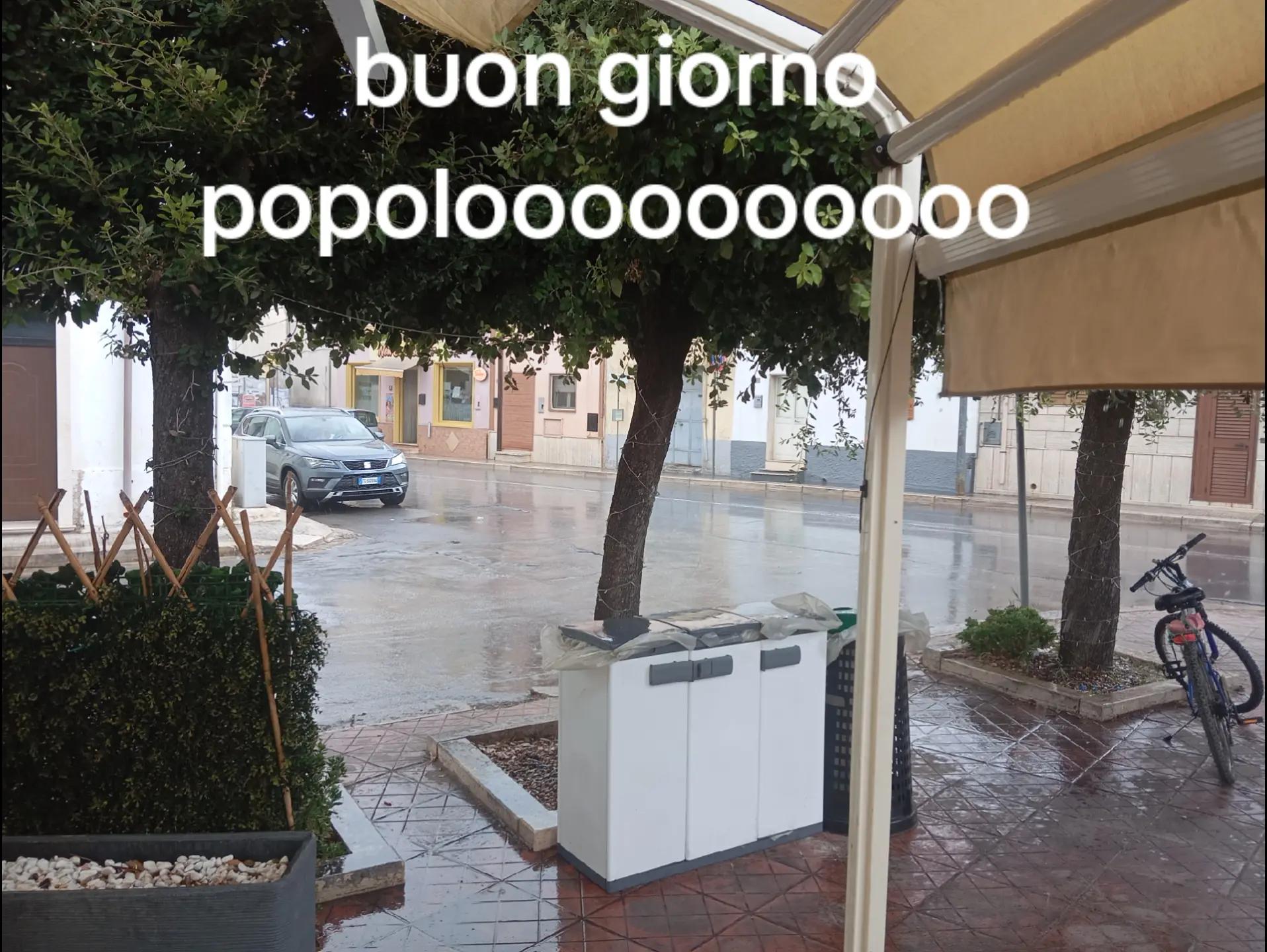@cosimotauro8