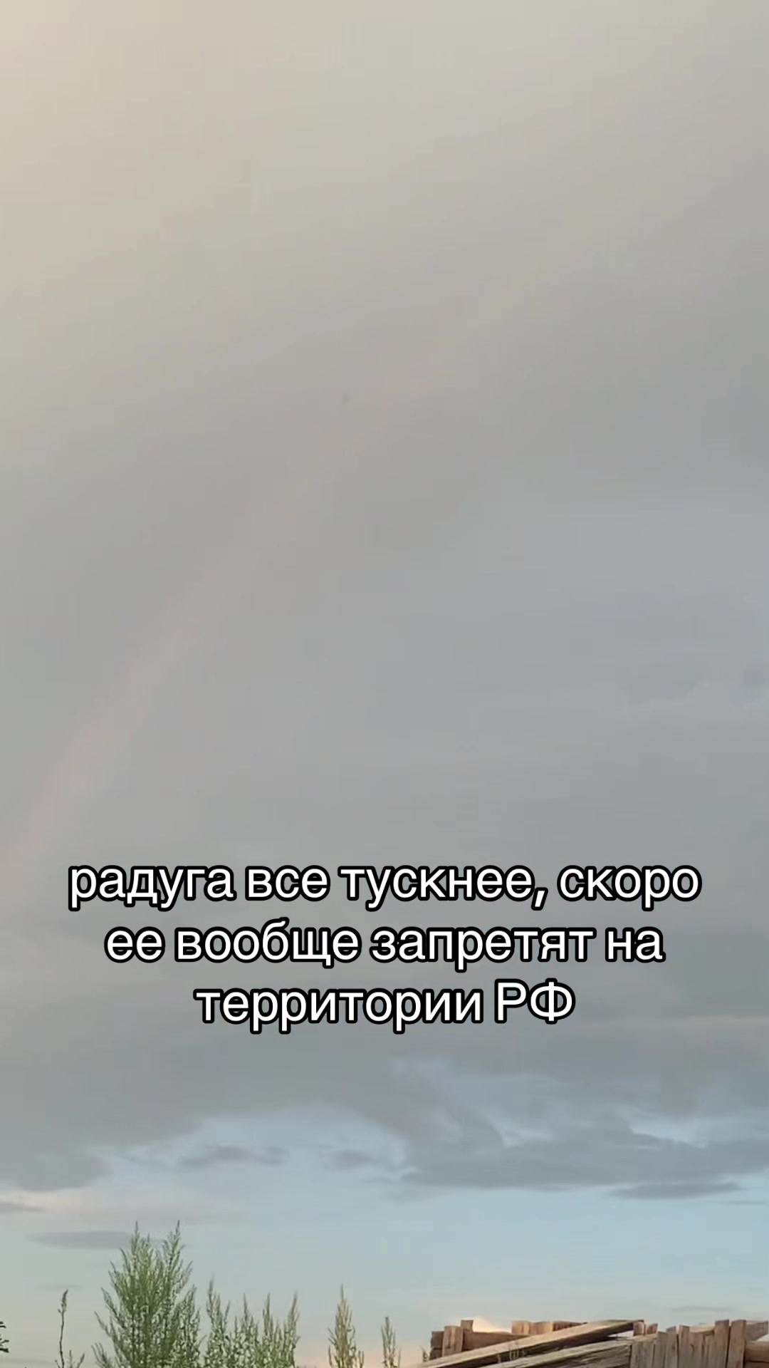 @змеюка миядзава