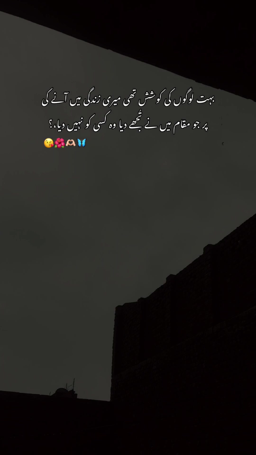 @>پاگل ہو <🦋