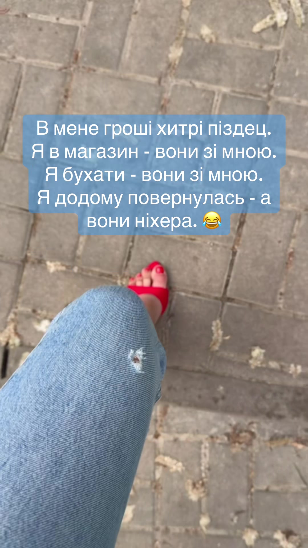@brows_by_paslavska