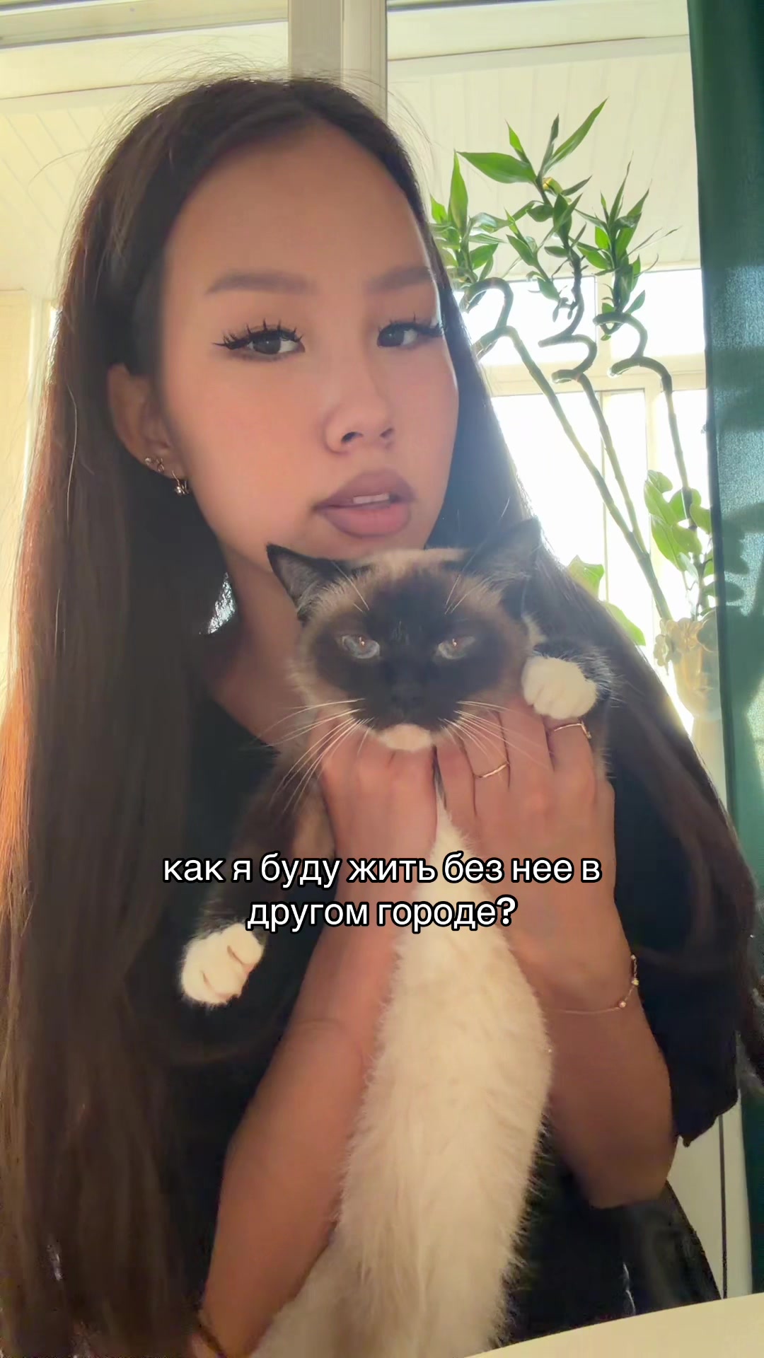 @павлова поля