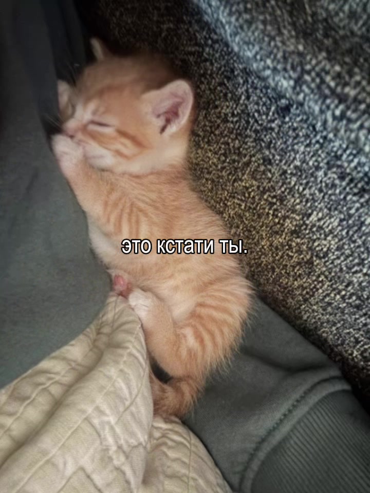 @𝐥𝐢𝐩𝐬𝐢𝐧𝐠 𝐦𝐮𝐬𝐢𝐜