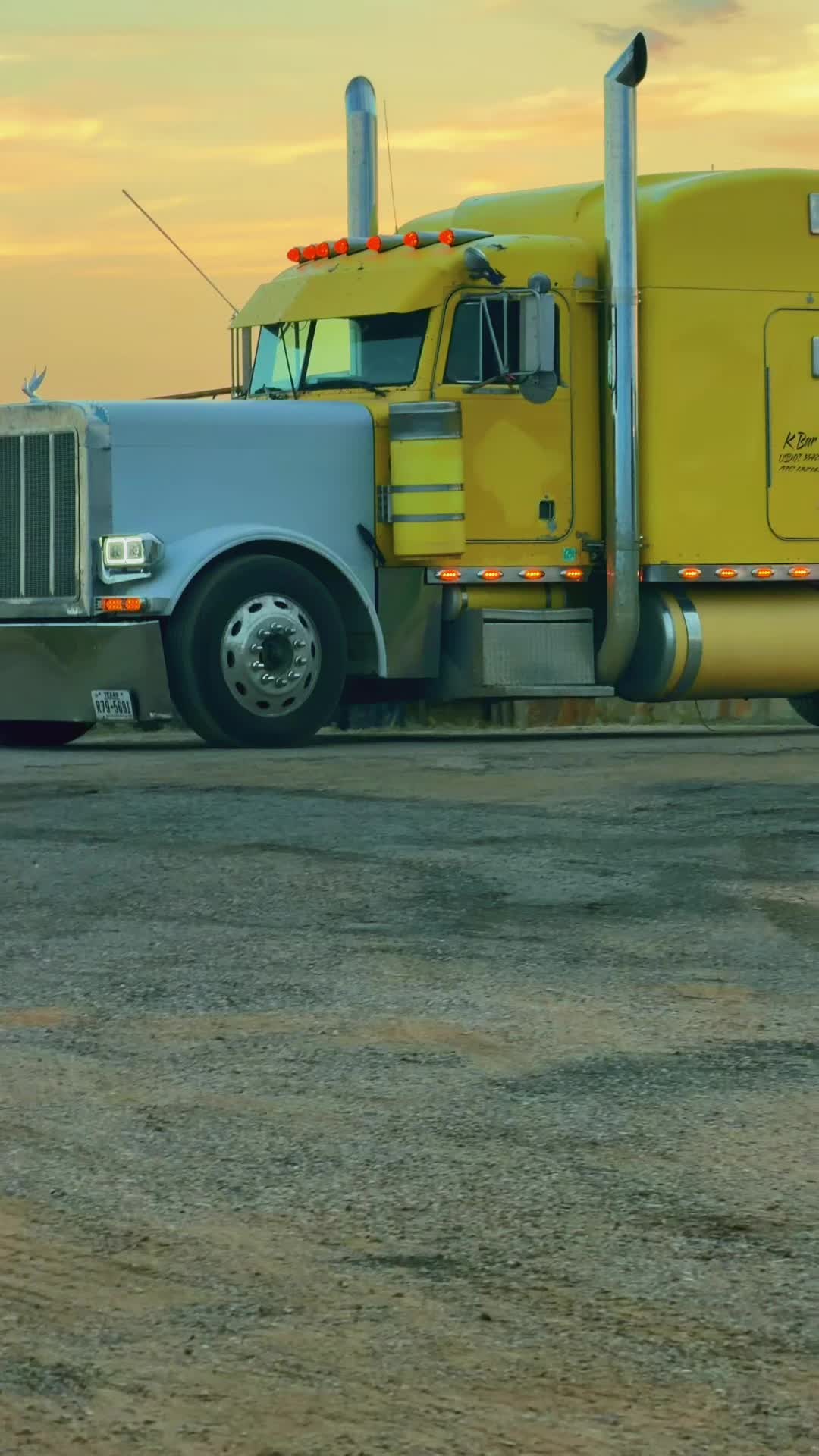 @806 Driver