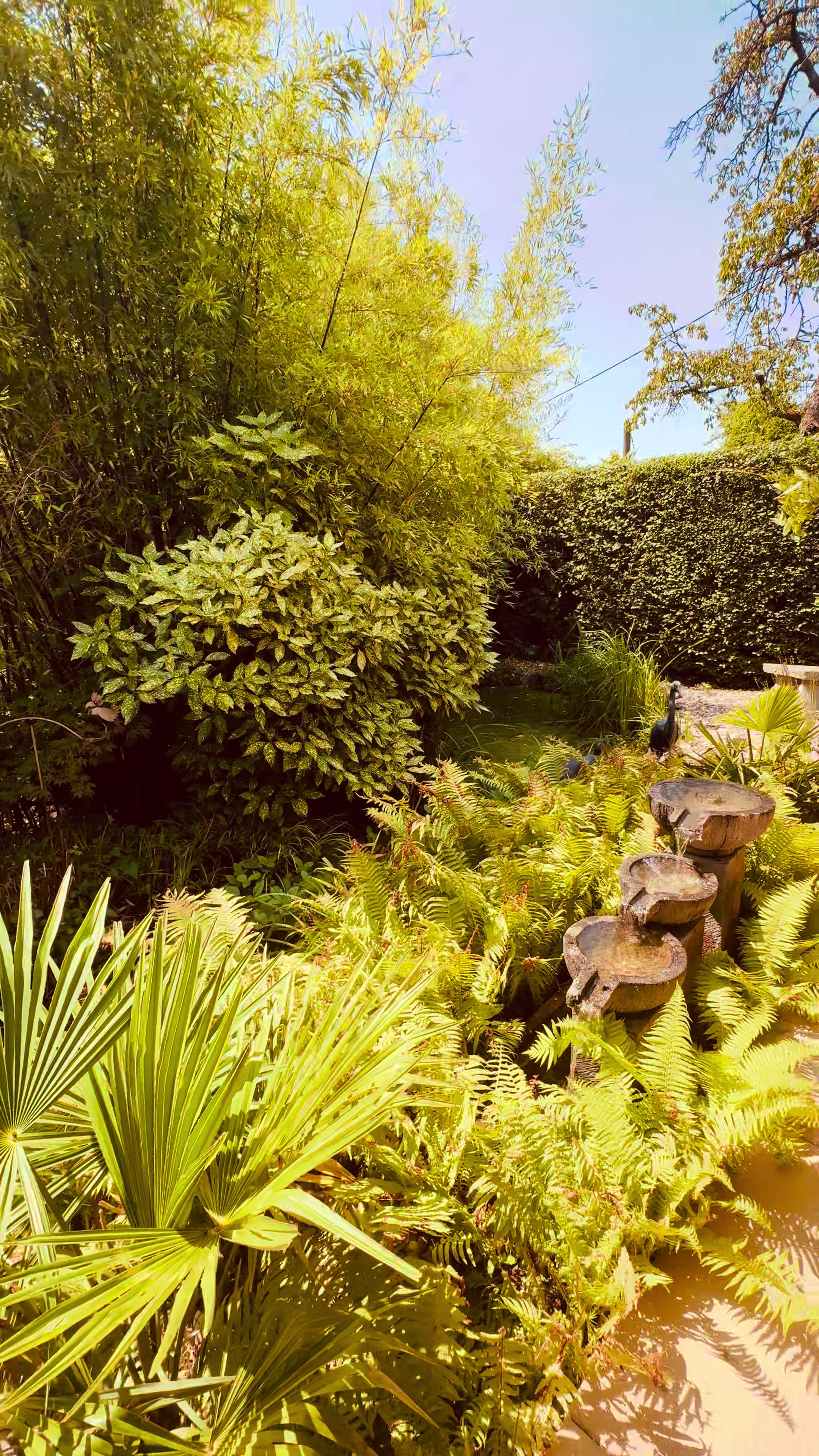@Joerg