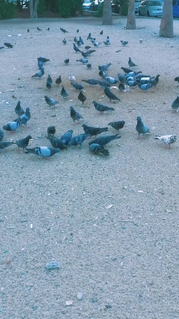 @M_ibrahim_8_8_8