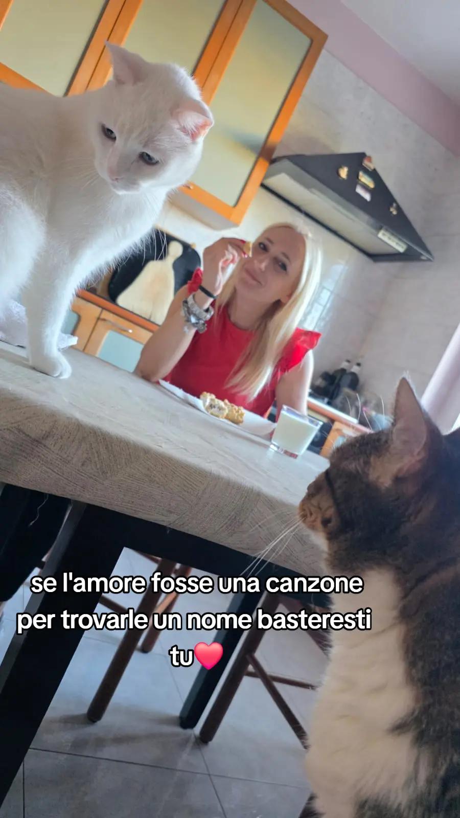 @Valentinapace22