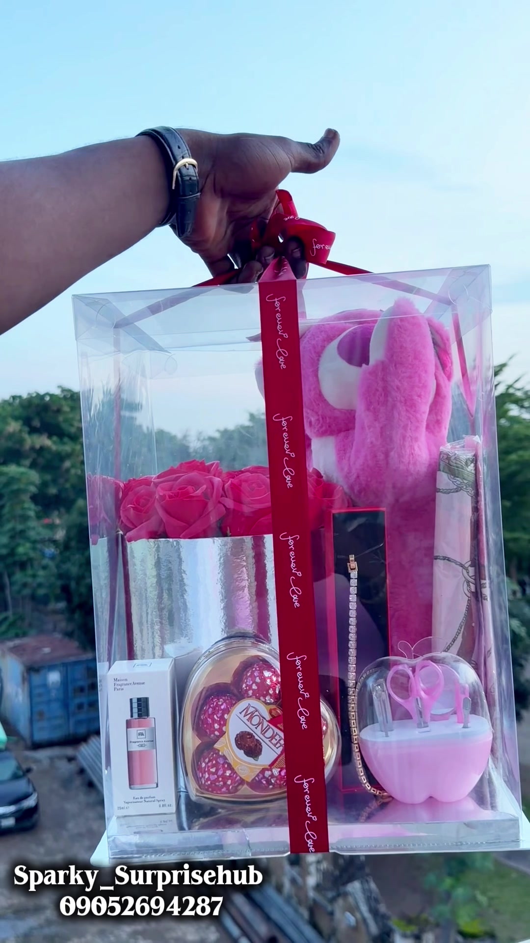 @Sparky Abuja Surprise planner