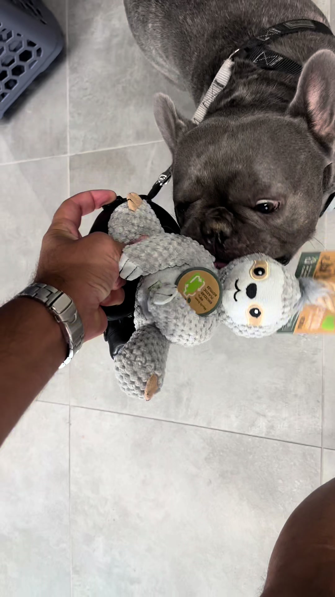 @𝐴𝑛𝑑𝑟𝑒𝑎 𝑒 𝐶𝑖𝑐𝑐𝑖𝑜🧸