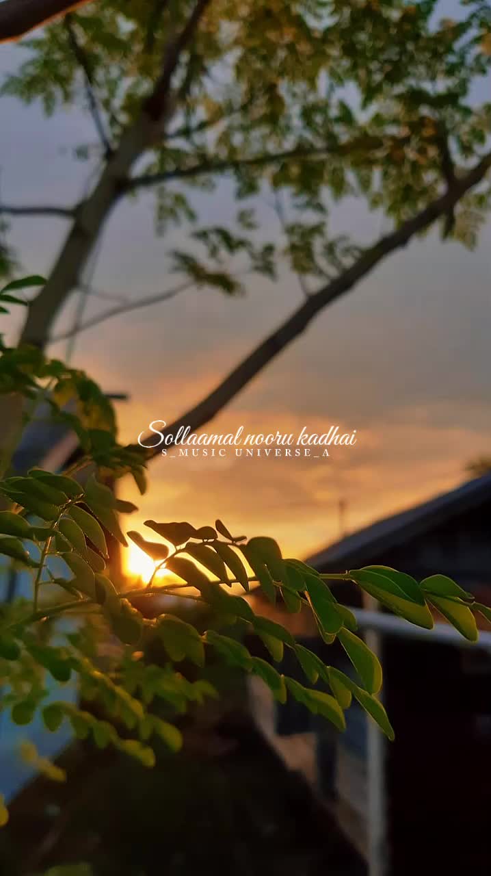 @&hearts;𝙈𝙐𝙎𝙄𝘾 𝙐𝙉𝙄𝙑𝙀𝙍𝙎𝙀&hearts;