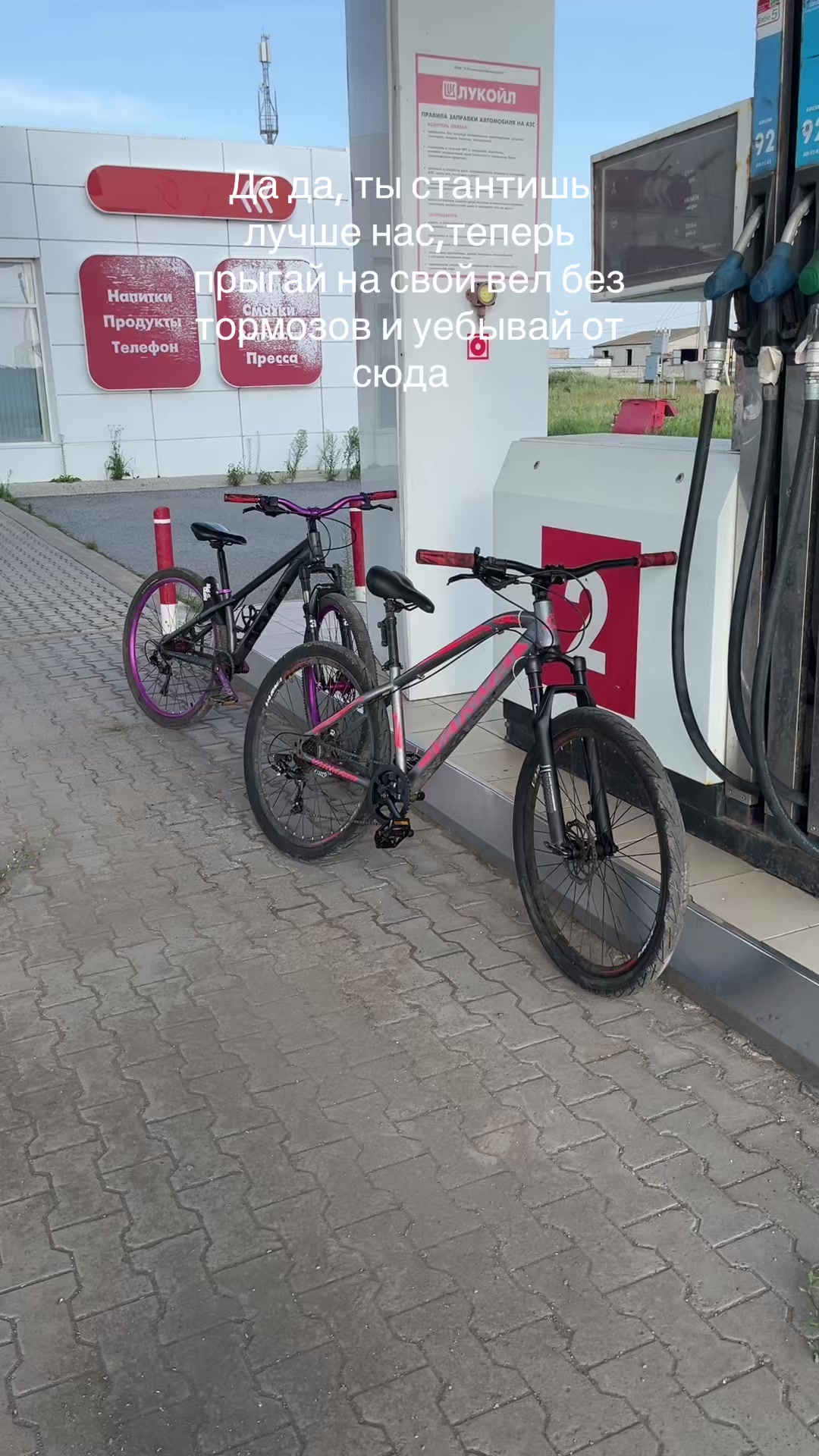 @sharmax230sport73