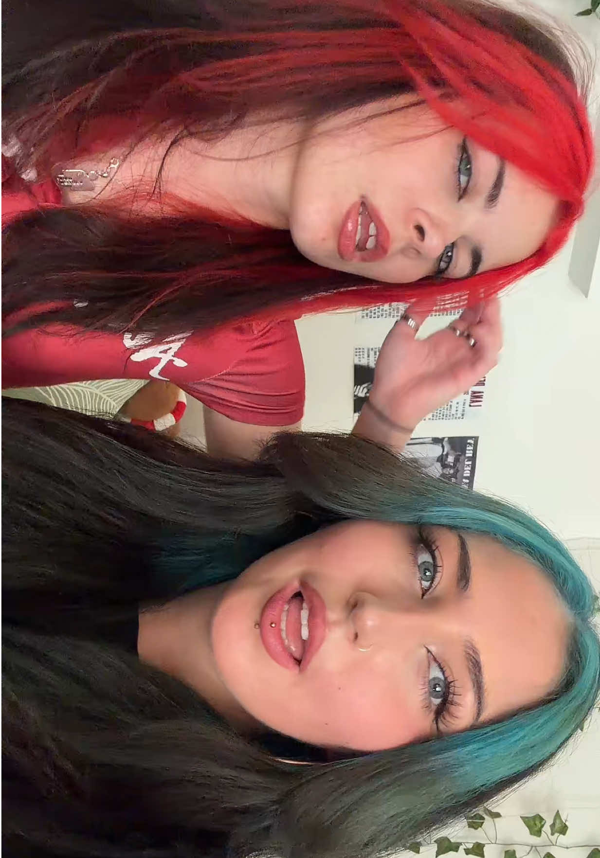 @shak🦈
