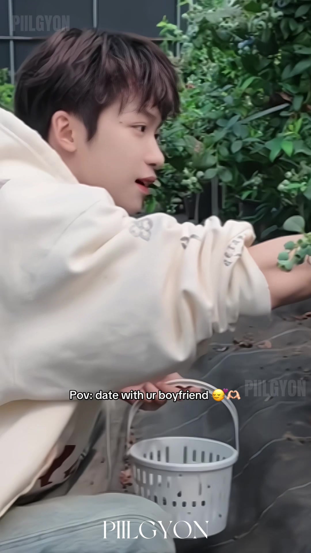 @PIlLGYON
