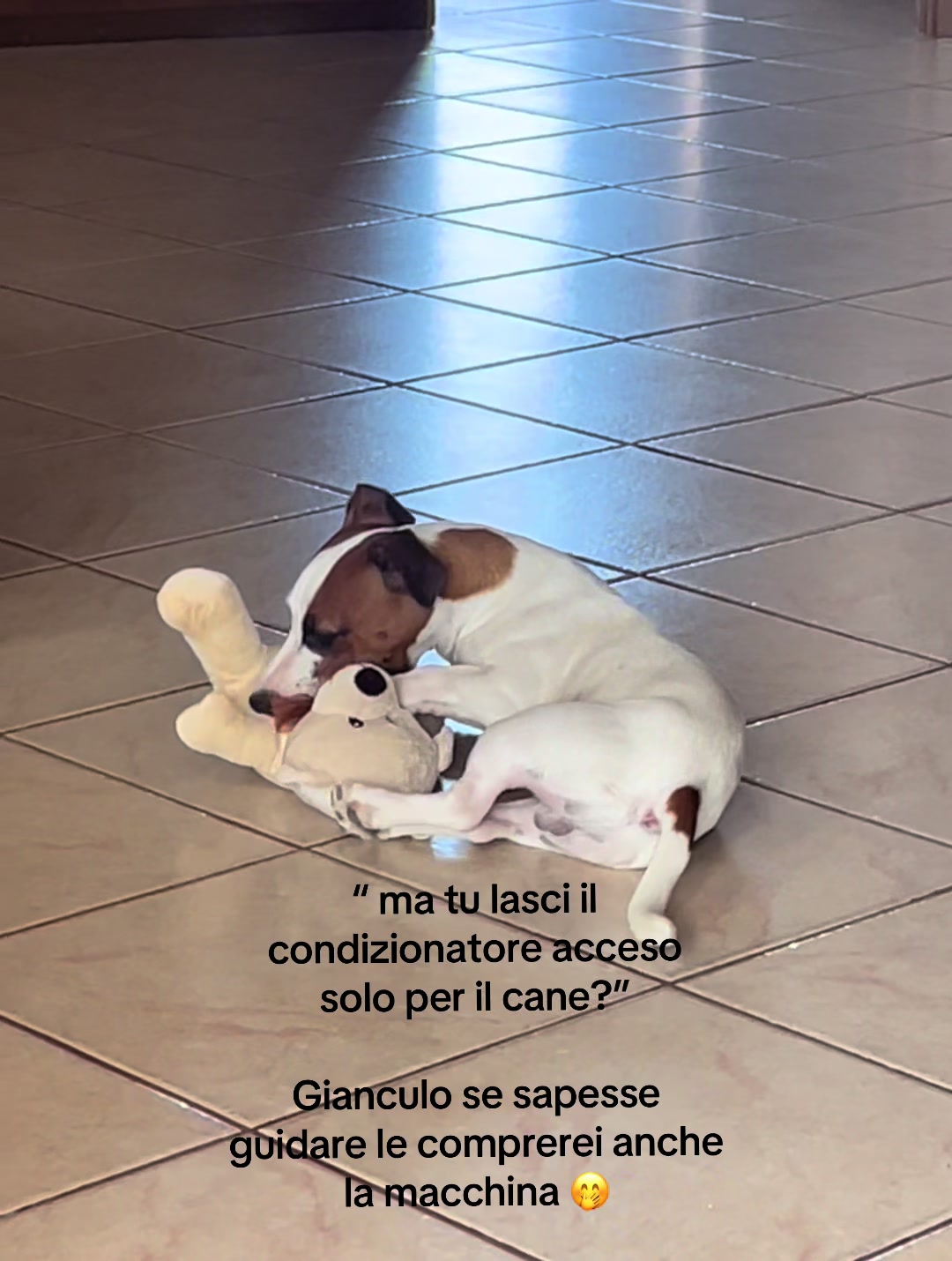 @𝓢𝓪𝓻𝓪♡