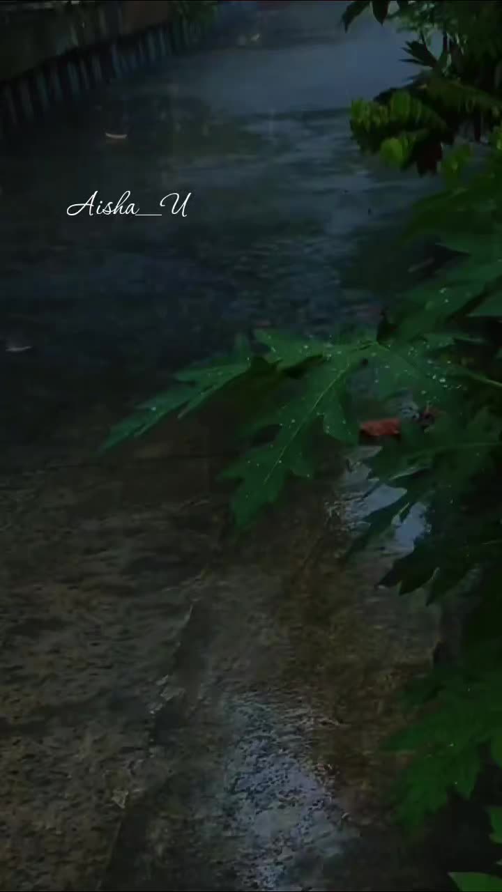 @Aisha_U