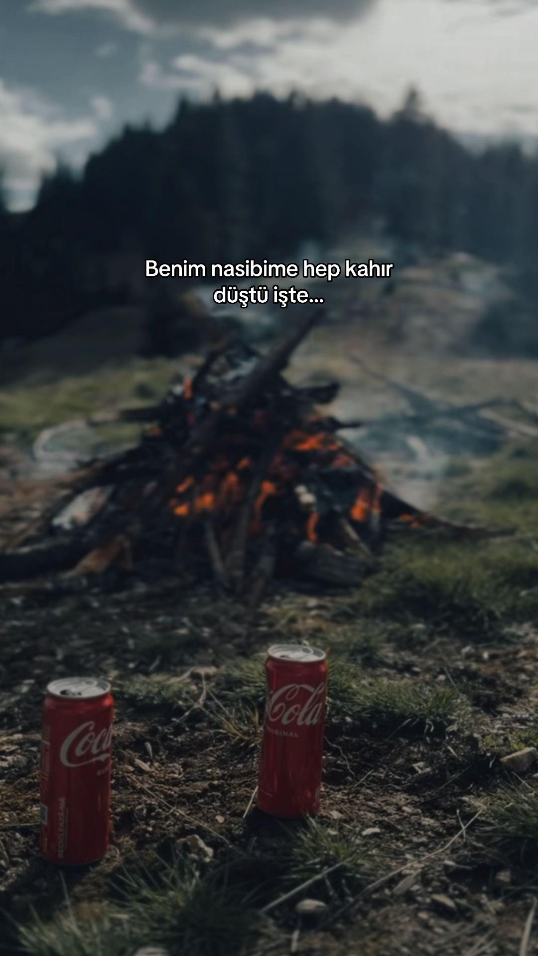 @seviyorgibiydin24