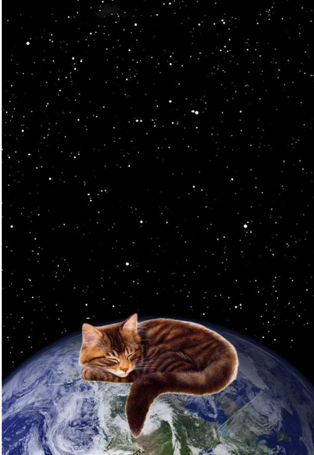@😽🐾ꪑ𝓲ᥴꫝ𝓲 1️⃣1️⃣