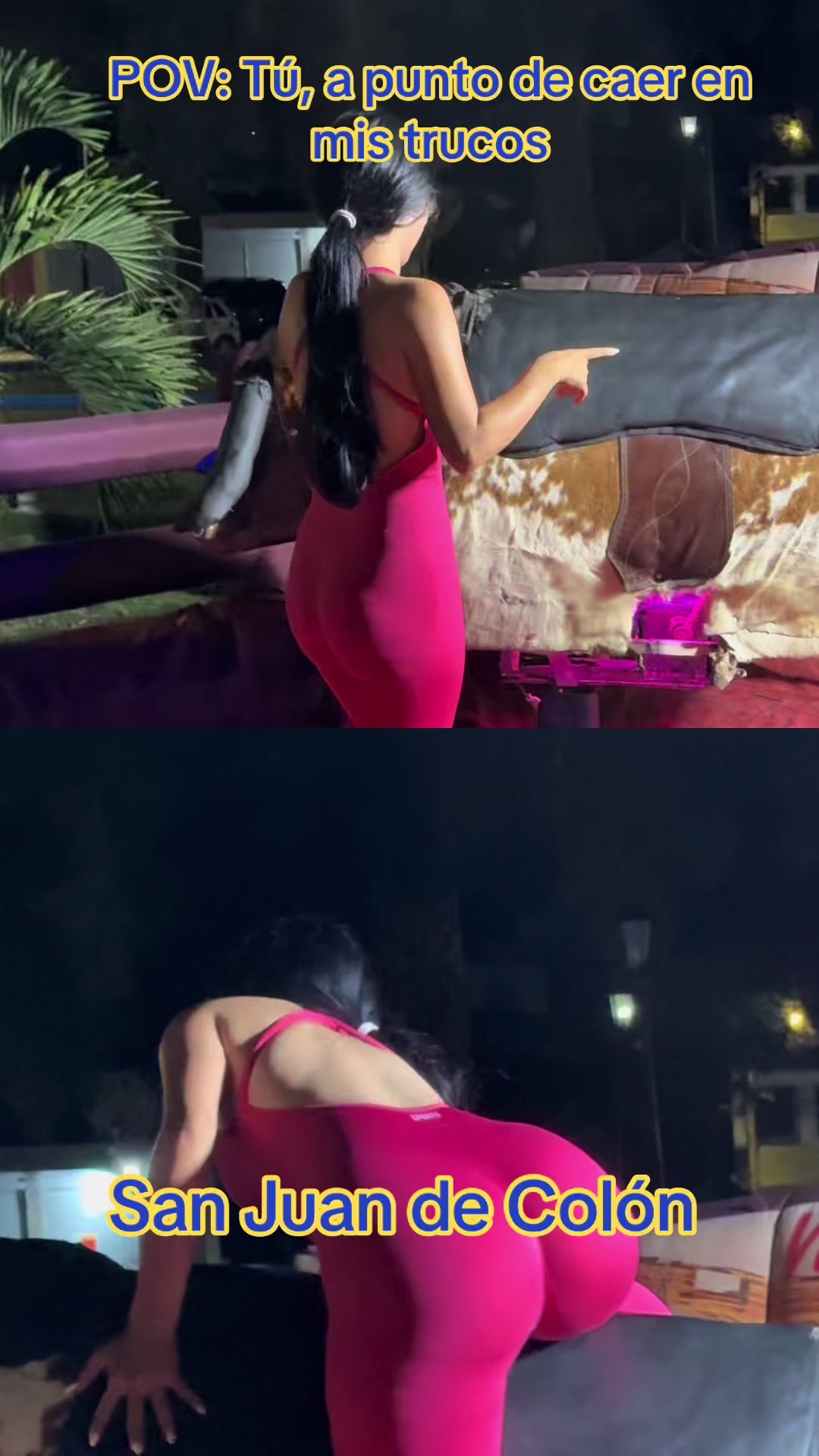 @Toro mas viral de Venezuela