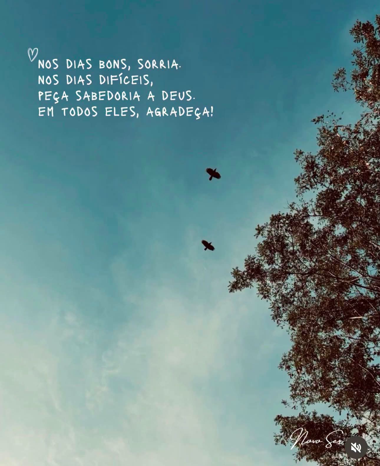 @Susana Oliveira