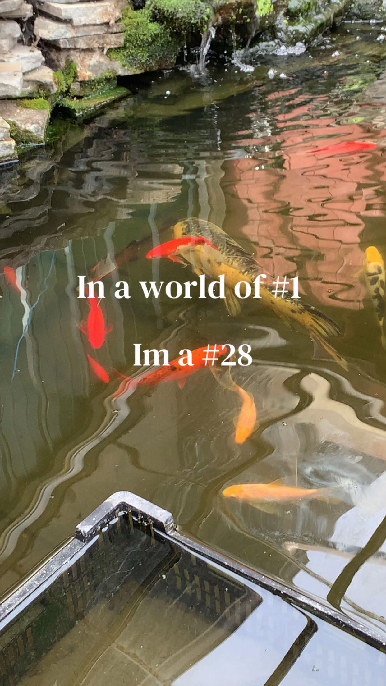 @🦐Big Scrimpin🦐
