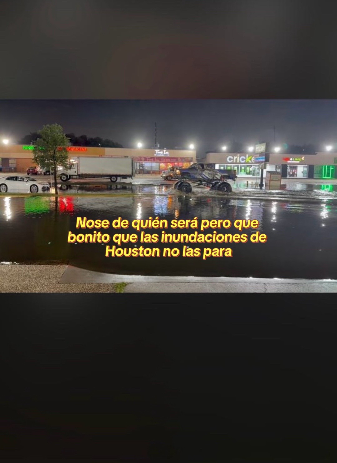 @Sin nombre 👶🦁🫶🌕🫡🐼💙📚