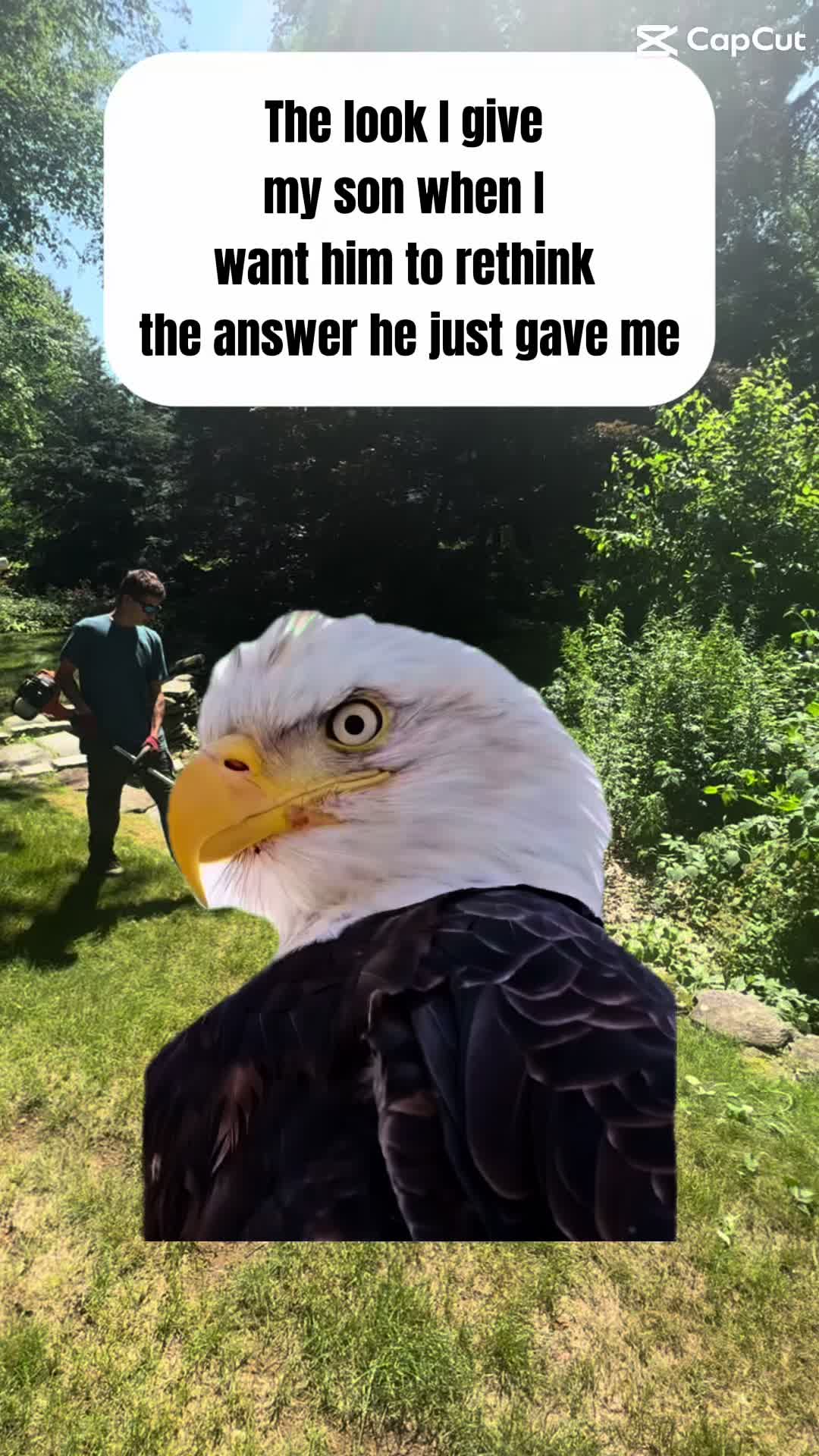 @Baileyboyslawn