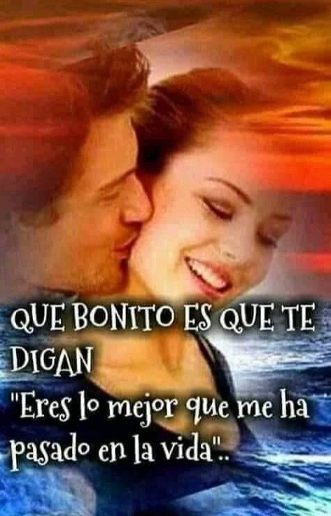 @Gatita Linda 😻🤝🥦💖🌺