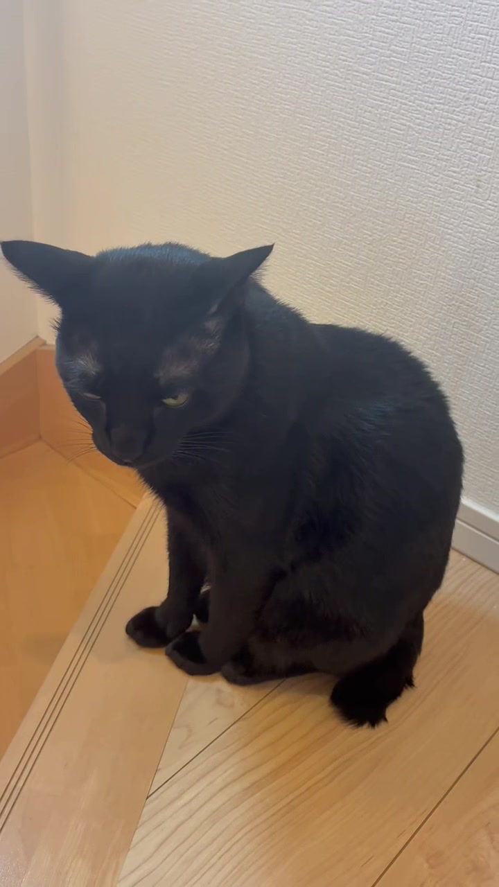 @へいくるあんこ
