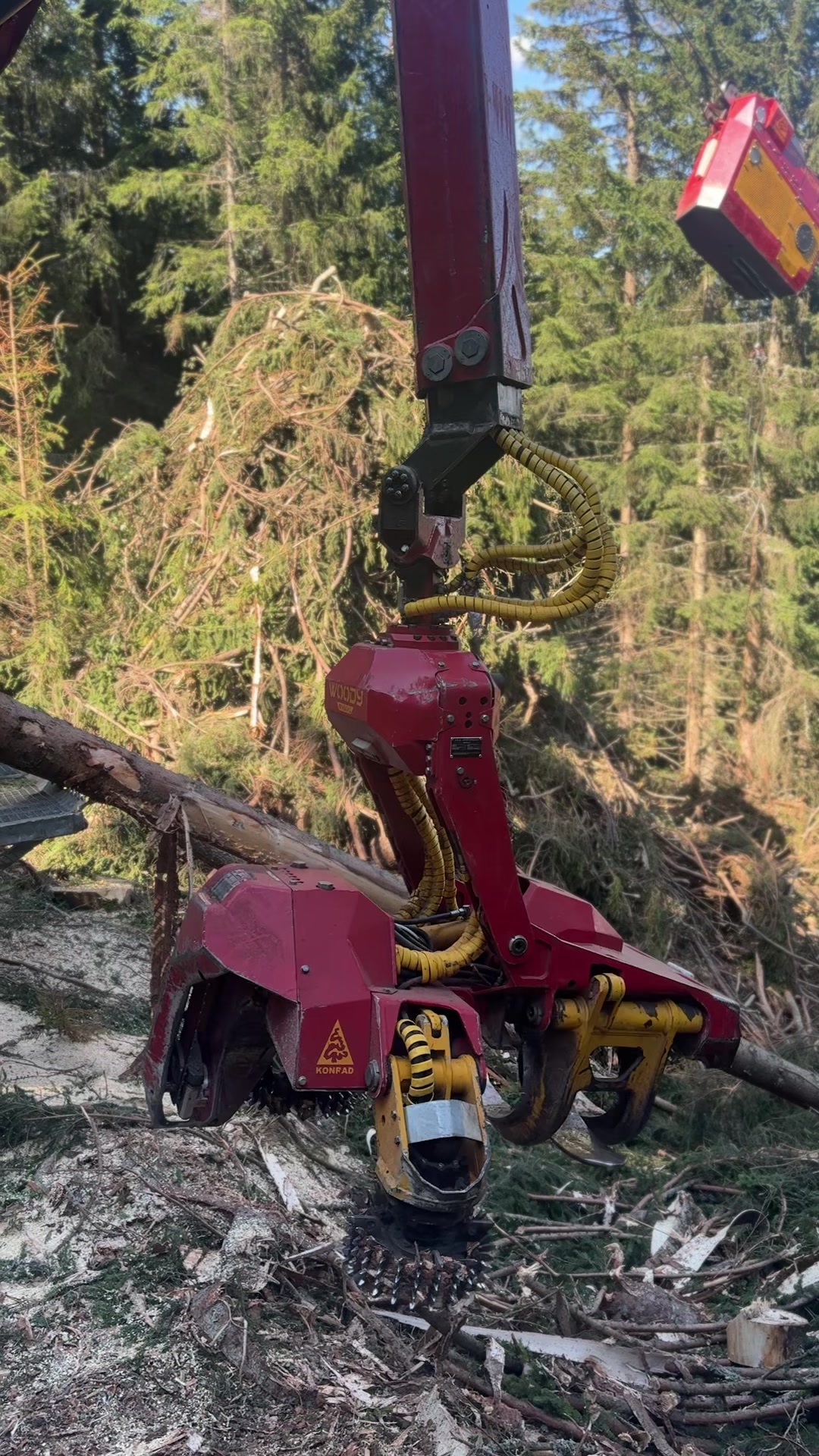 @forestexport